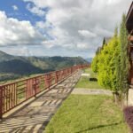 WhatsApp Image 2025-09-01 at 19.10.07_c4c21f08