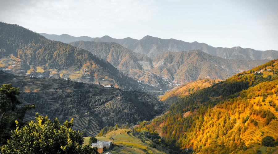 omyoga-publishedOn-7Jan2026 omyoga-publishedOn-7Jan2026